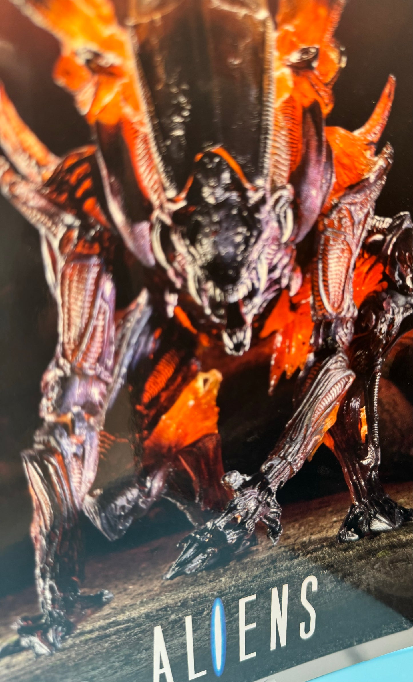 Alien Collectible
